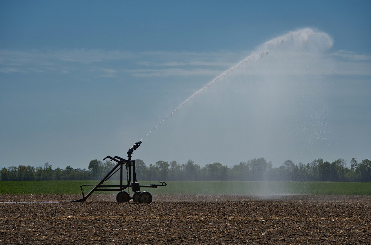 irrigation-5064925_1280 irrigation-5064925_1280